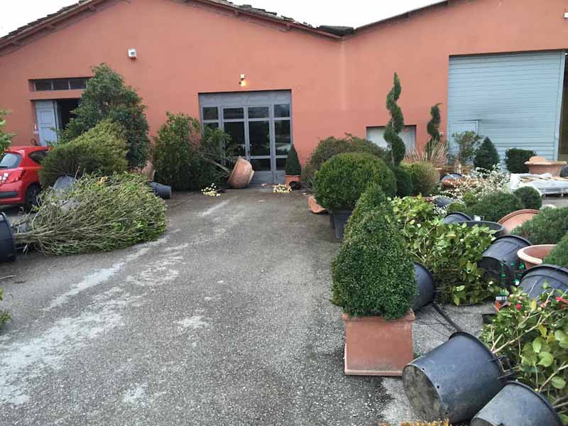 I danni del vento a Pistoia